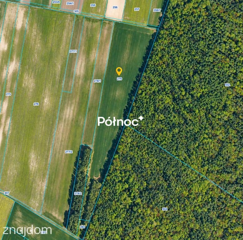 3,71 ha ziemi rolnej część zalesiona | Depułtycze Królewskie - zdjęcie 2