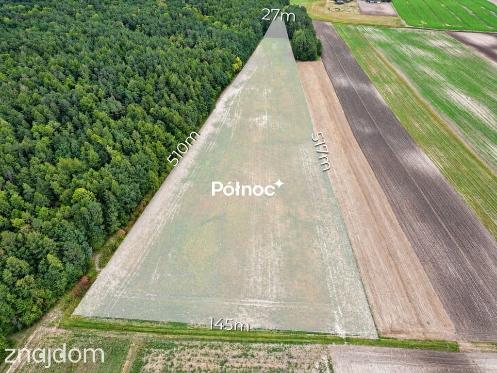 3,71 ha ziemi rolnej  część zalesiona | Depułtycze Królewskie
