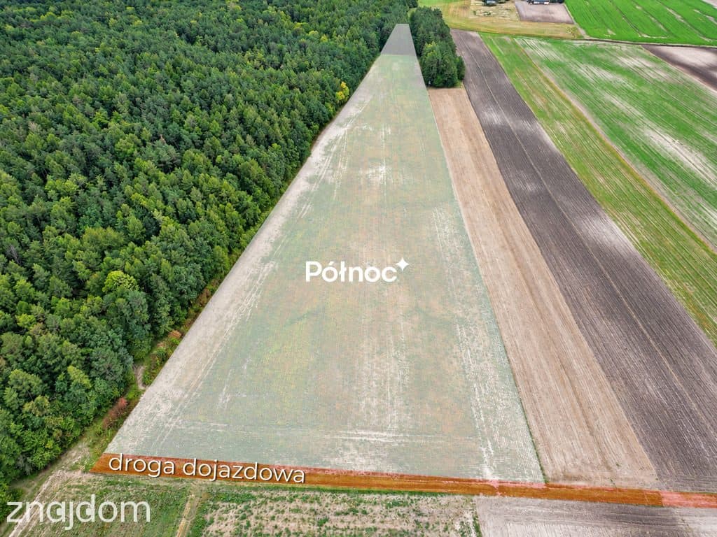3,71 ha ziemi rolnej część zalesiona | Depułtycze Królewskie - zdjęcie 4