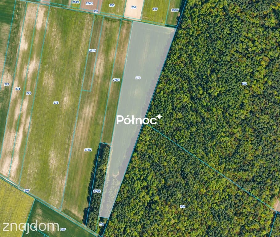 3,71 ha ziemi rolnej część zalesiona | Depułtycze Królewskie - zdjęcie 5