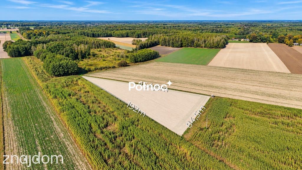 Działka z warunkami zabudowy - Kościeniewicze, pow. 7052 m² - zdjęcie 2