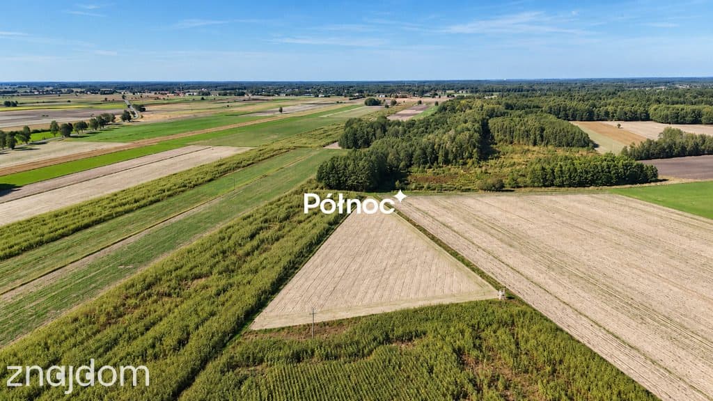 Działka z warunkami zabudowy - Kościeniewicze, pow. 7052 m² - zdjęcie 5