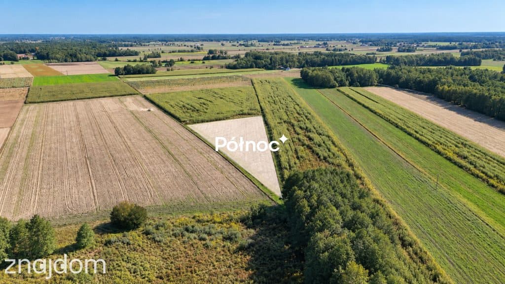 Działka z warunkami zabudowy - Kościeniewicze, pow. 7052 m² - zdjęcie 9