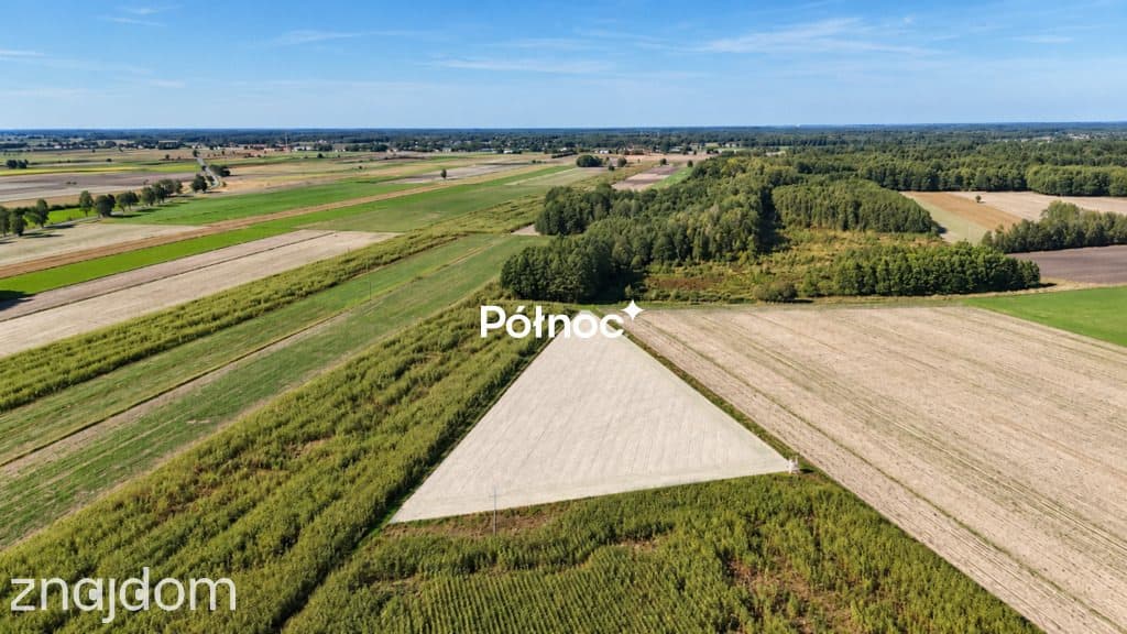 Działka z warunkami zabudowy - Kościeniewicze, pow. 7052 m² - zdjęcie 10