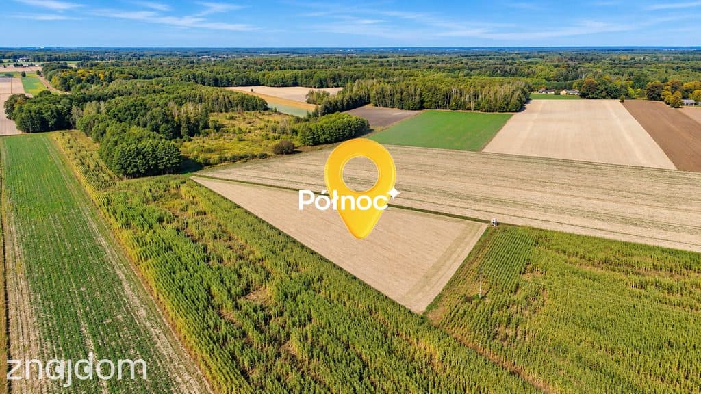 Działka z warunkami zabudowy - Kościeniewicze, pow. 7052 m² - zdjęcie 6
