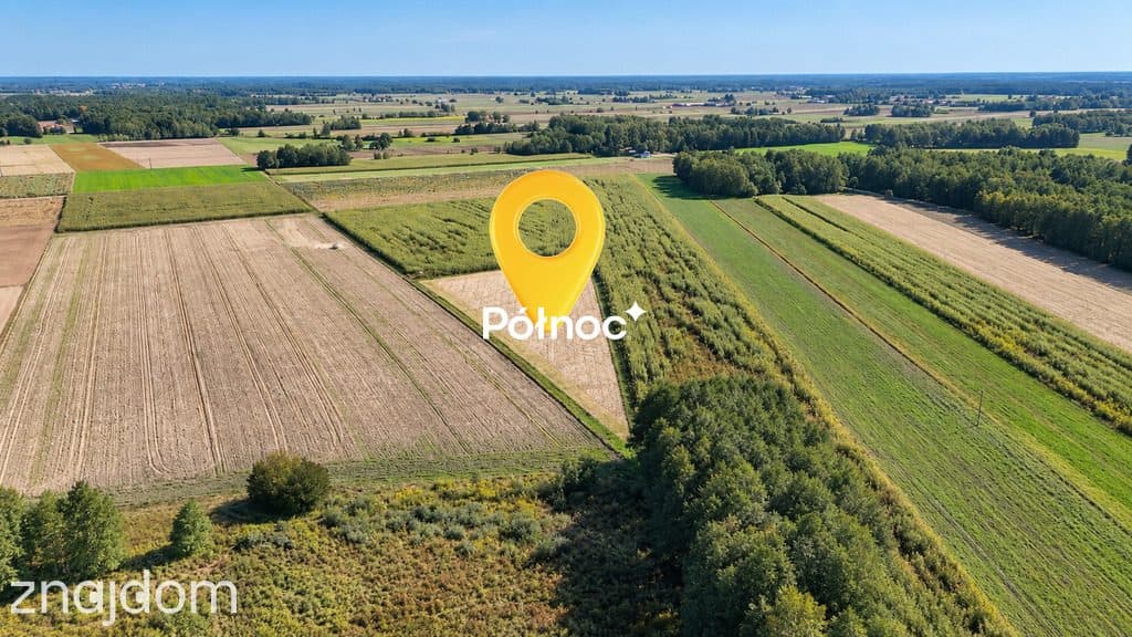 Działka z warunkami zabudowy - Kościeniewicze, pow. 7052 m² - zdjęcie 4