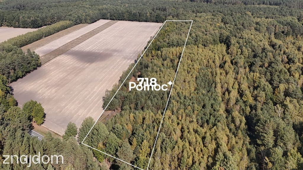 Działka z WZ - 1.65 ha - zdjęcie 3
