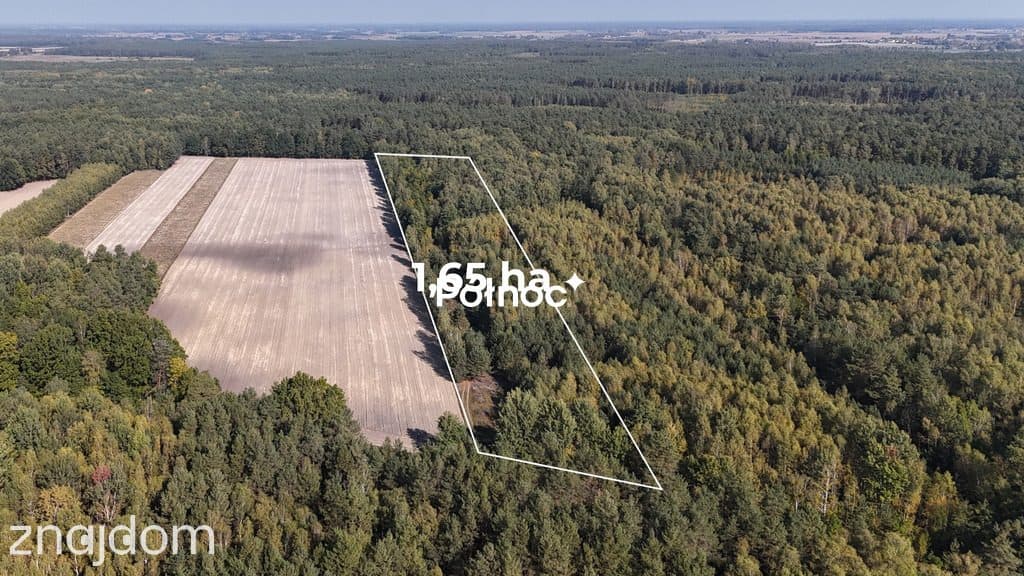 Działka z WZ - 1.65 ha - zdjęcie 2