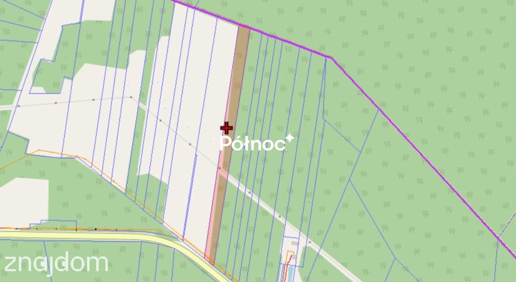 Działka z WZ - 1.65 ha - zdjęcie 5