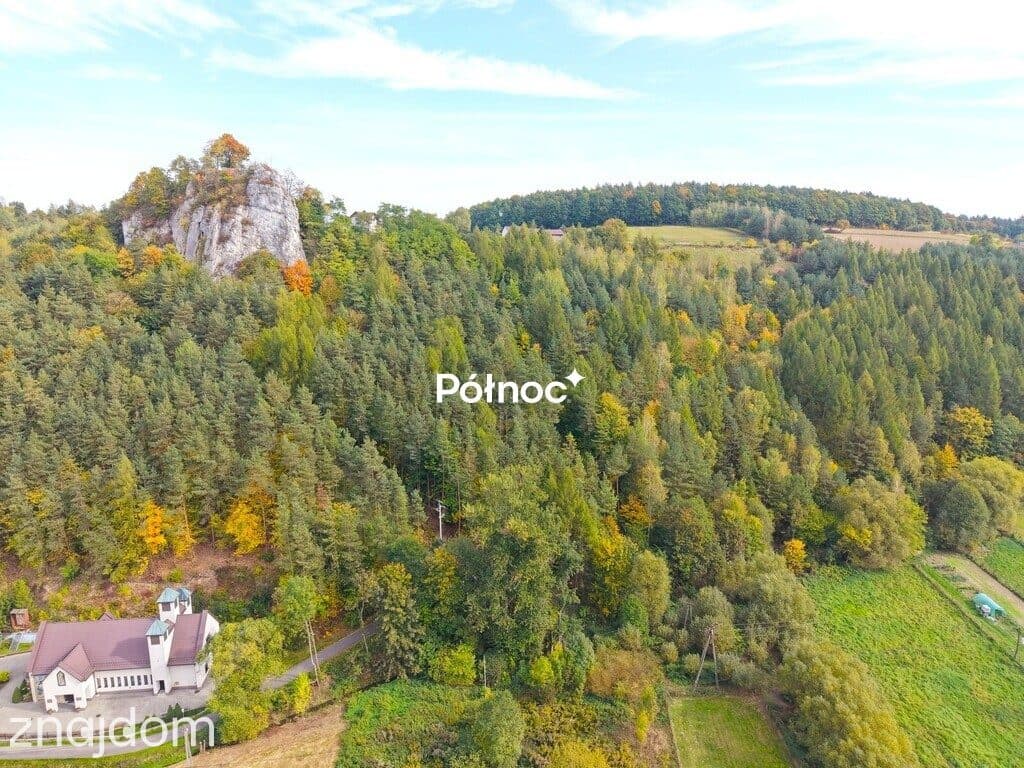Działka w malowniczej okolicy 9ar - zdjęcie 5