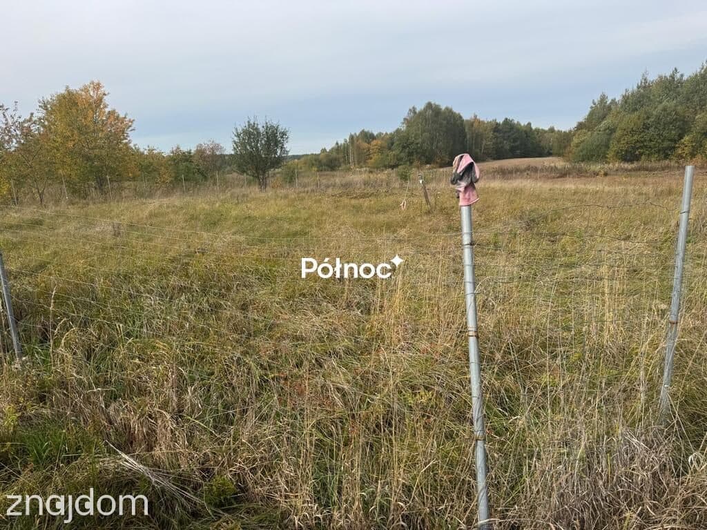 🌿 Skronina, gm. Białaczów – działka ze strumykiem. Piękno natury. - zdjęcie 2