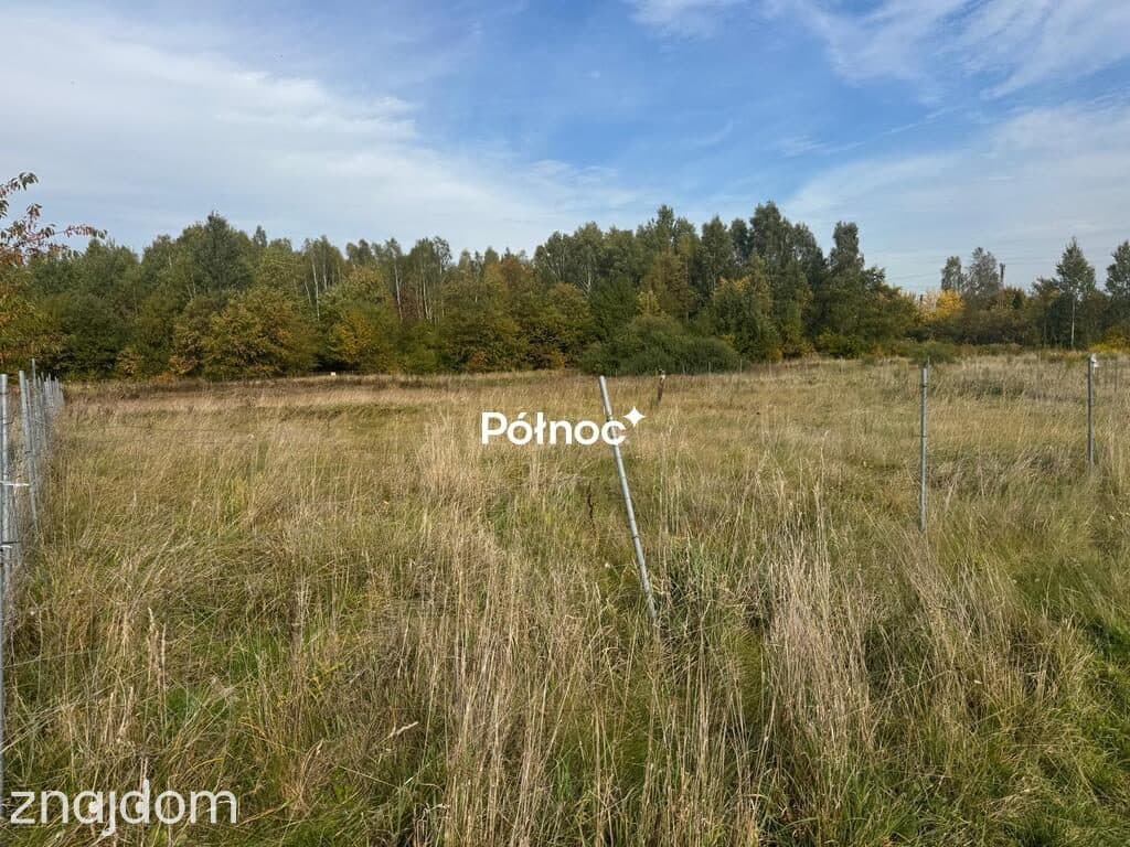 🌿 Skronina, gm. Białaczów – działka ze strumykiem. Piękno natury. - zdjęcie 3