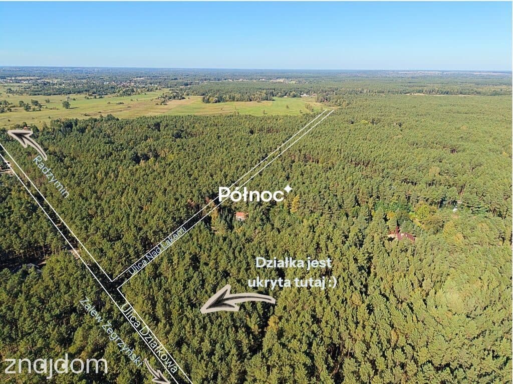 Leśna działka z naturalnymi pagórkami | Łosie gm. Radzymin