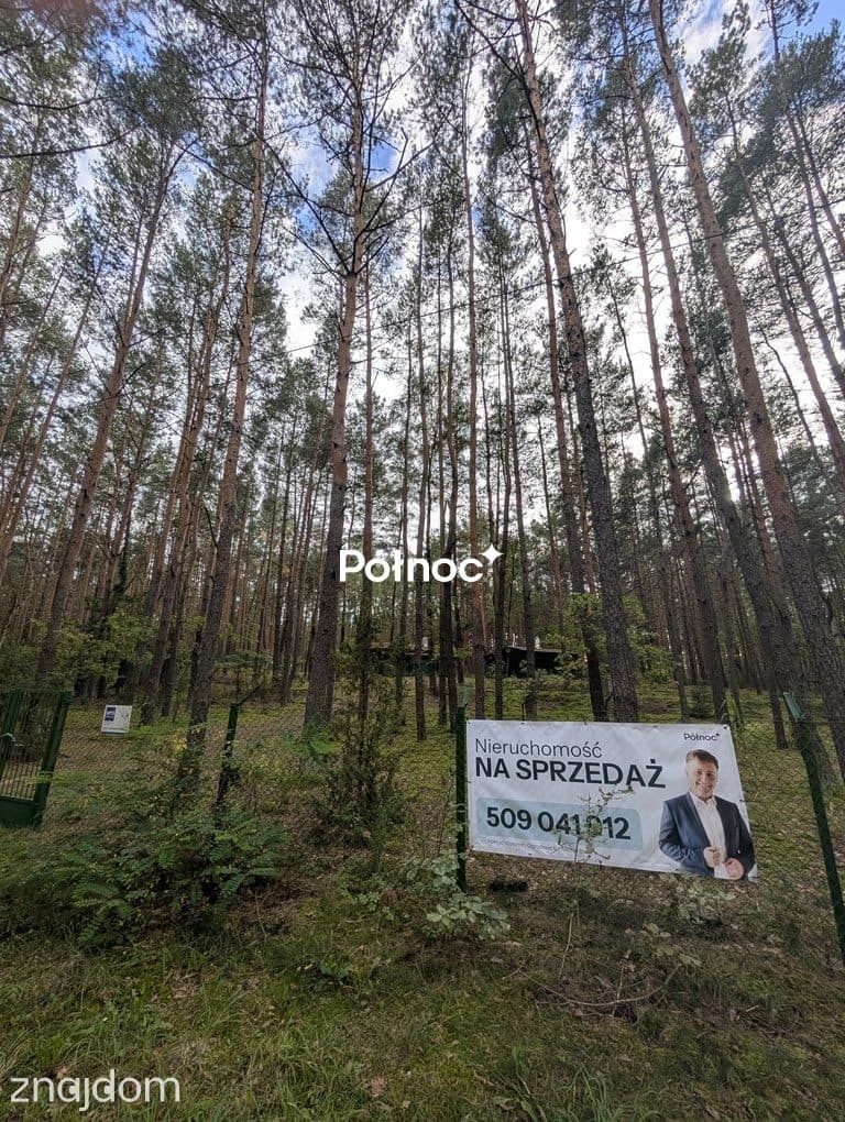 Leśna działka z naturalnymi pagórkami | Łosie gm. Radzymin - zdjęcie 2