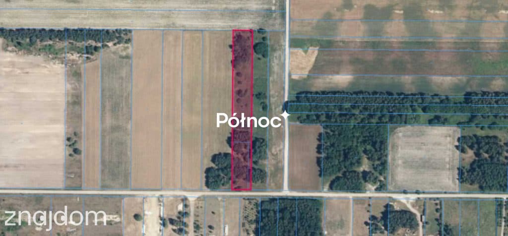 Działka budowlana 5192m² na Jurze, Wiercica gm Przyrów - zdjęcie 2