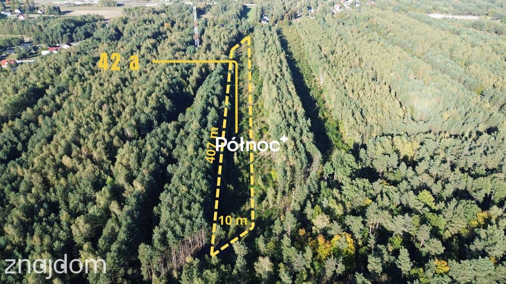Działka / 42 a / Bogoria