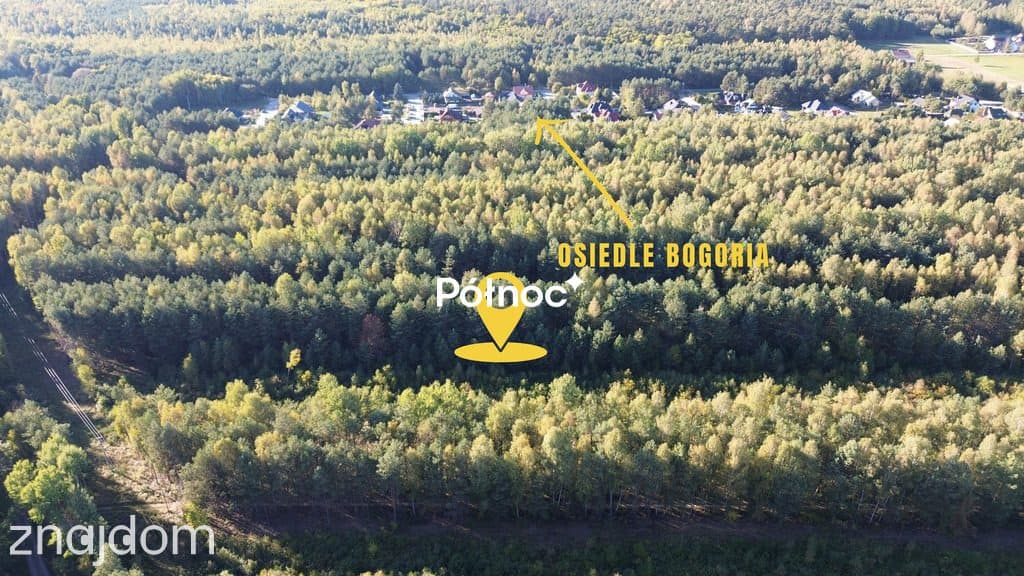 Działka / 42 a / Bogoria - zdjęcie 3