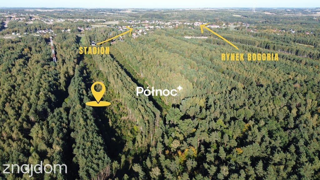 Działka / 42 a / Bogoria - zdjęcie 2