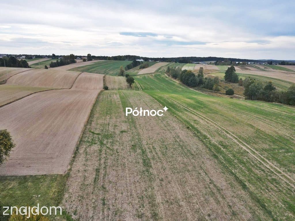 Duża działka z domkiem, Kąpiele Wielkie k. Wolbromia - zdjęcie 4