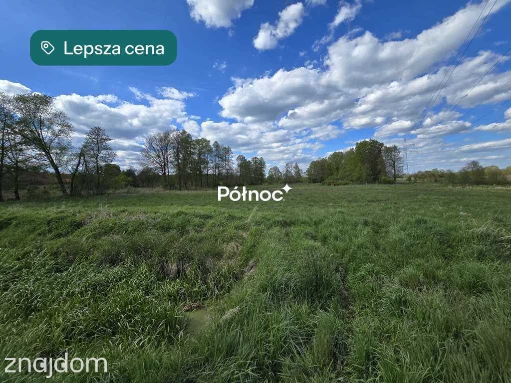 Połowa domu z dużą działką i terenem do podziału - zdjęcie 14