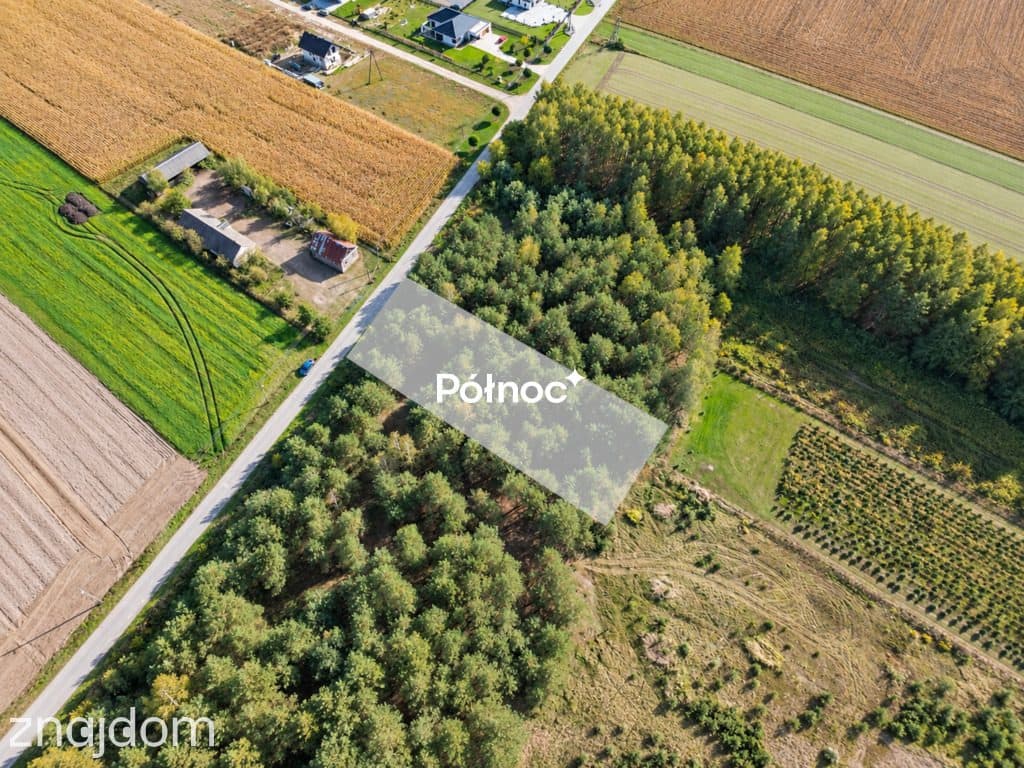 Działka z Warunkami Zabudowy - Rzeczyca k. Międzyrzeca Podlaskiego - zdjęcie 6