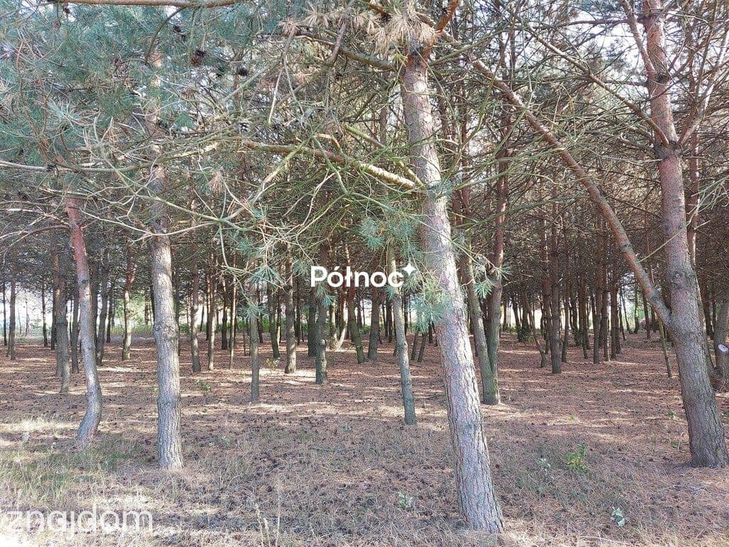 Działka z Warunkami Zabudowy - Rzeczyca k. Międzyrzeca Podlaskiego - zdjęcie 9
