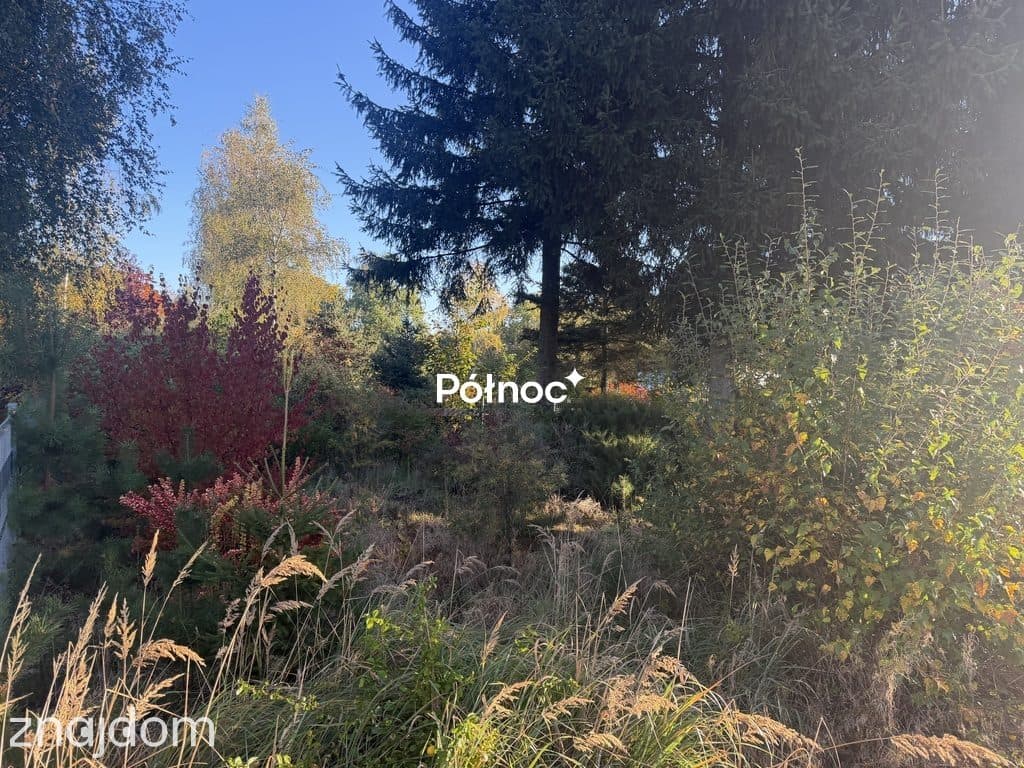 działka Gierałtów 30 arów - zdjęcie 2