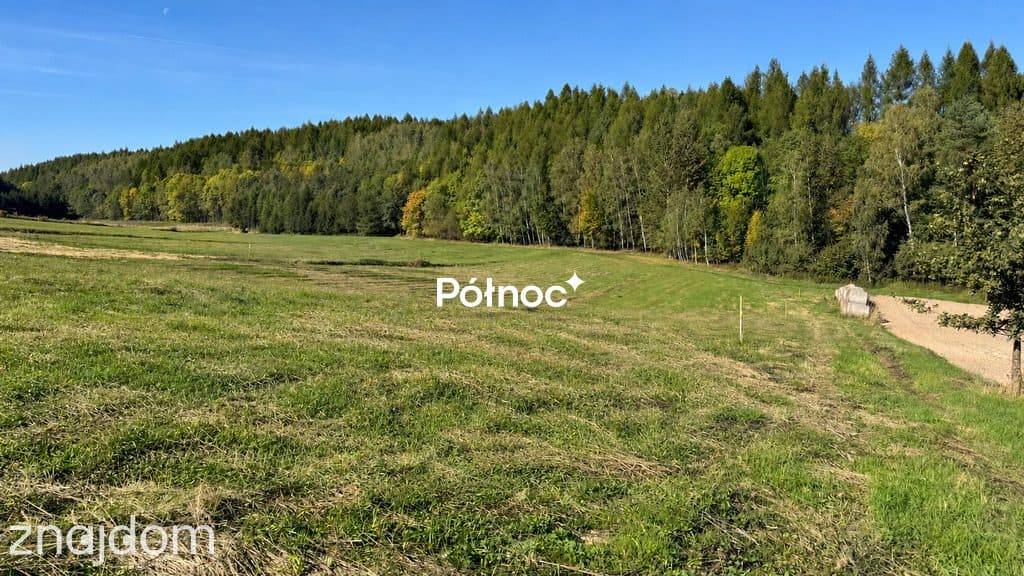Działka z WZ przy lesie – Majdanek, gm. Tomaszów Lubelski - zdjęcie 5