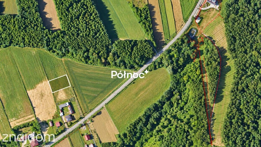 Działka z WZ przy lesie – Majdanek, gm. Tomaszów Lubelski - zdjęcie 6
