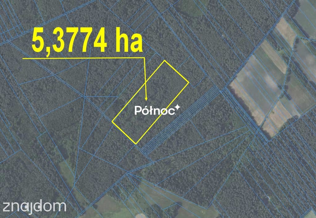 Las na sprzedaż Mokre gm. Rossosz - udział - zdjęcie 2