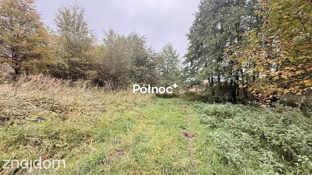 Działka, JAKUBOWICE MUROWANE - zdjęcie 6