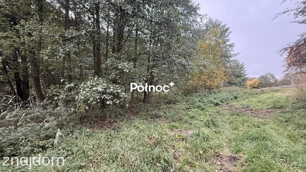Działka, JAKUBOWICE MUROWANE - zdjęcie 7