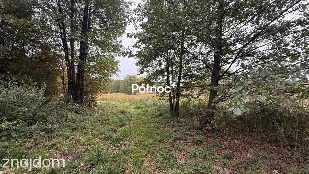 Działka, JAKUBOWICE MUROWANE - zdjęcie 8