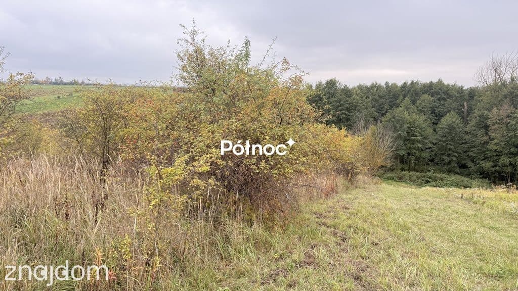 Działka, JAKUBOWICE MUROWANE - zdjęcie 9
