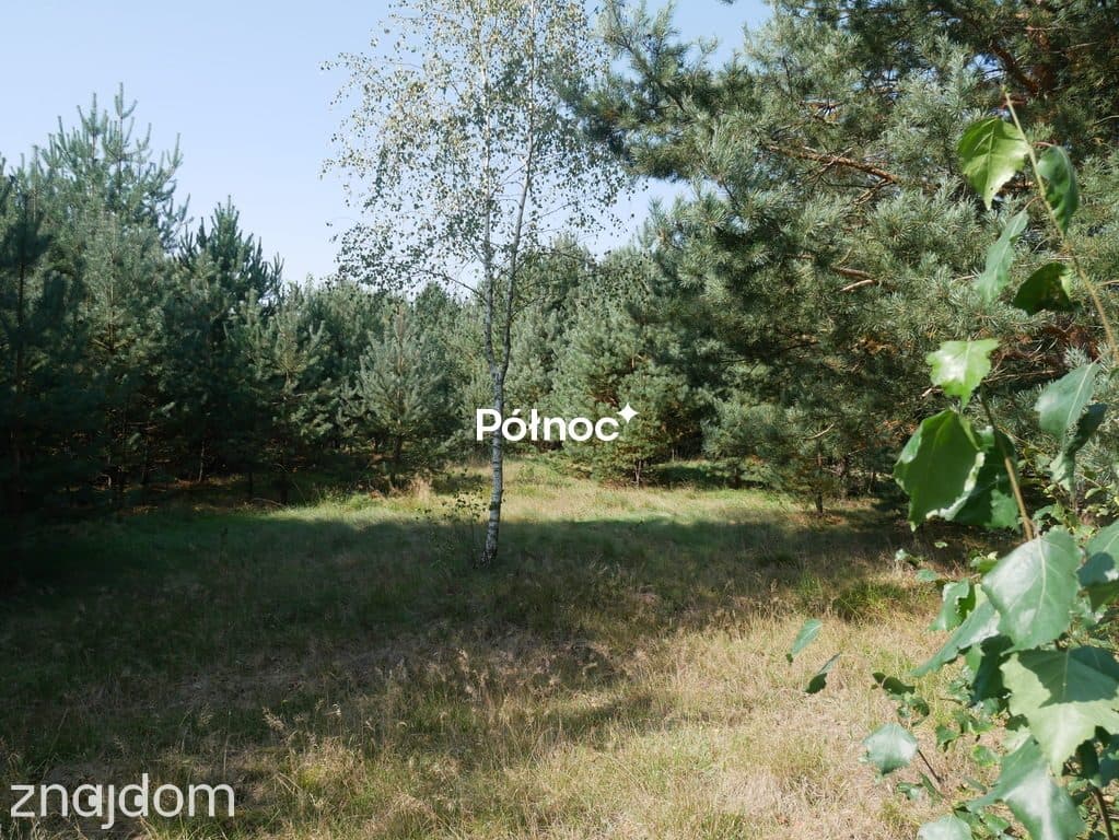 Działka budowlana pod lasem ! - zdjęcie 3