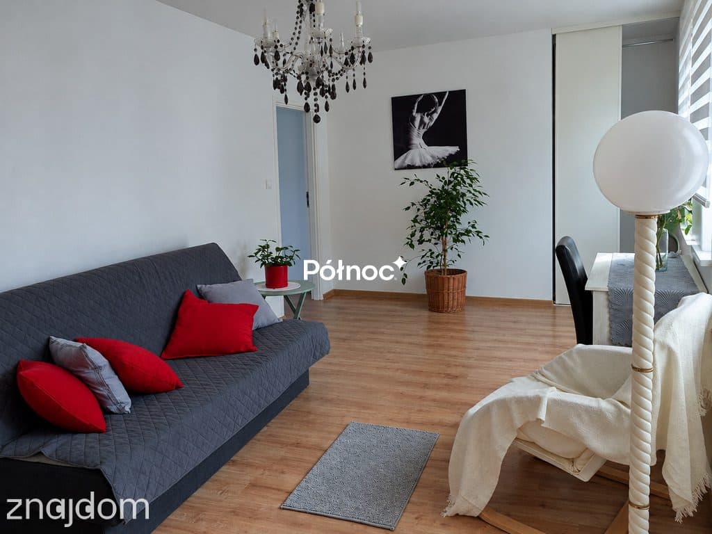 DOM WOLNOSTOJĄCY 170 m² + 82 m² UŻYTKOWEJ PIWNICY | OGRÓDEK | GARAŻ - zdjęcie 10