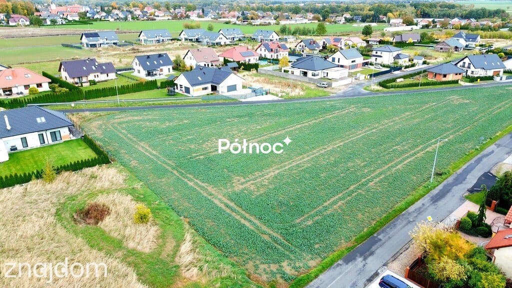 DZIAŁKA INWESTYCYJNA 7000 m²/2940 PUM -LESZCZYNOWA, KRUSZYN/ŁAZISKA - zdjęcie 3