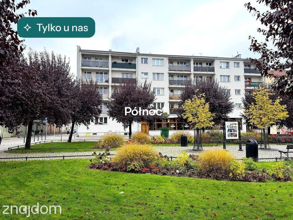3 pokoje w rynku Chojnowa