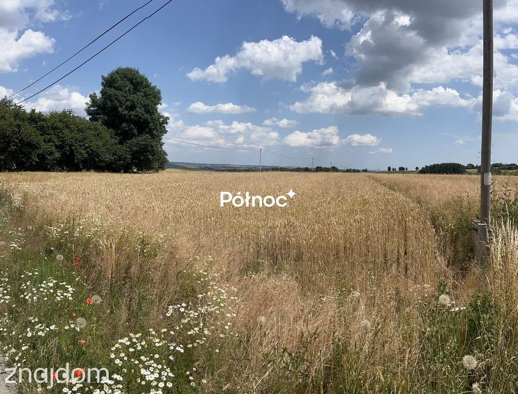 Działka budowlano-rolna w gminie Wolbrom. - zdjęcie 2