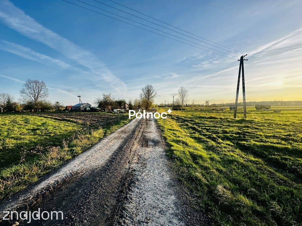 Działka rolni-budowlana 2,95h Żalin, gm. Ruda-Huta - zdjęcie 2