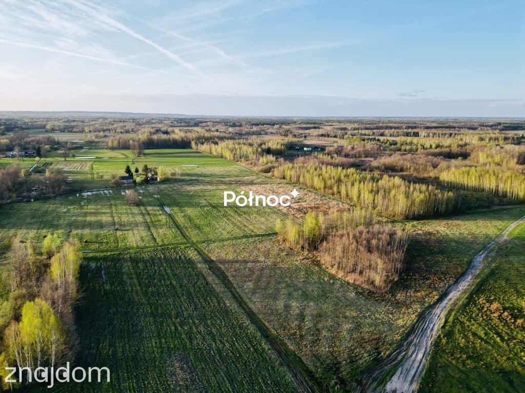 Działka rolni-budowlana 2,95h Żalin, gm. Ruda-Huta - zdjęcie 4