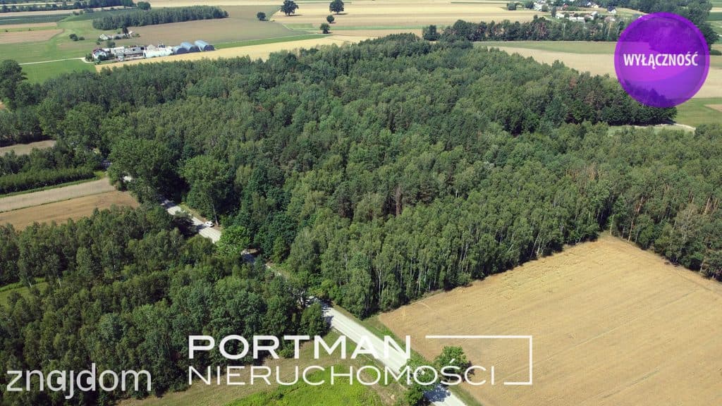 Działka w Dobrzyńcu 15 200 m2
