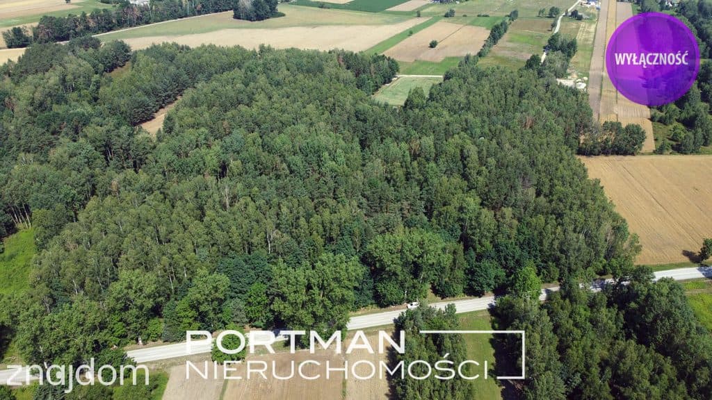 Działka w Dobrzyńcu 15 200 m2 - zdjęcie 2