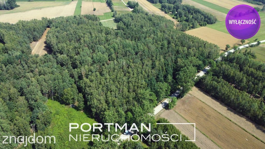 Działka w Dobrzyńcu 15 200 m2 - zdjęcie 3