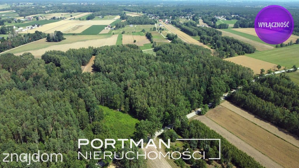 Działka w Dobrzyńcu 15 200 m2 - zdjęcie 4
