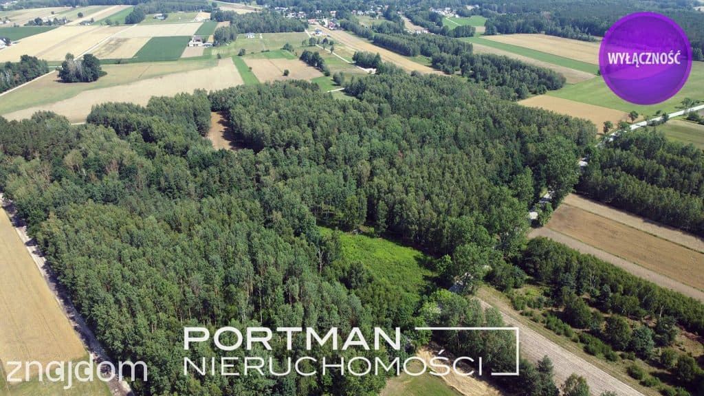 Działka w Dobrzyńcu 15 200 m2 - zdjęcie 5