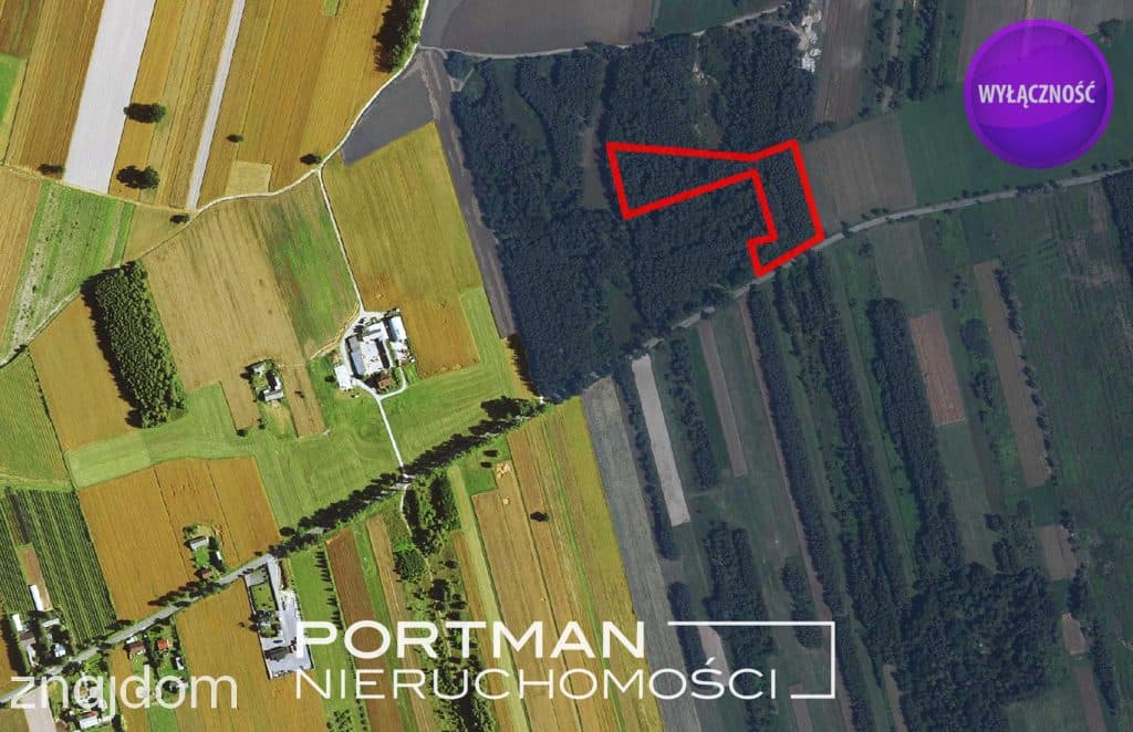 Działka w Dobrzyńcu 15 200 m2 - zdjęcie 8