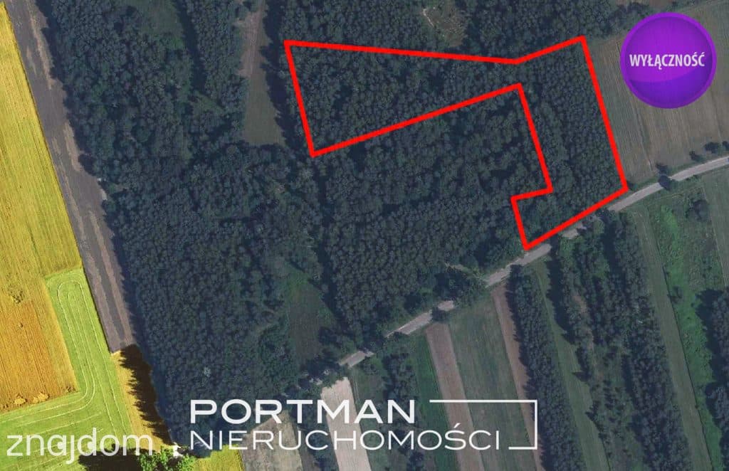 Działka w Dobrzyńcu 15 200 m2 - zdjęcie 9