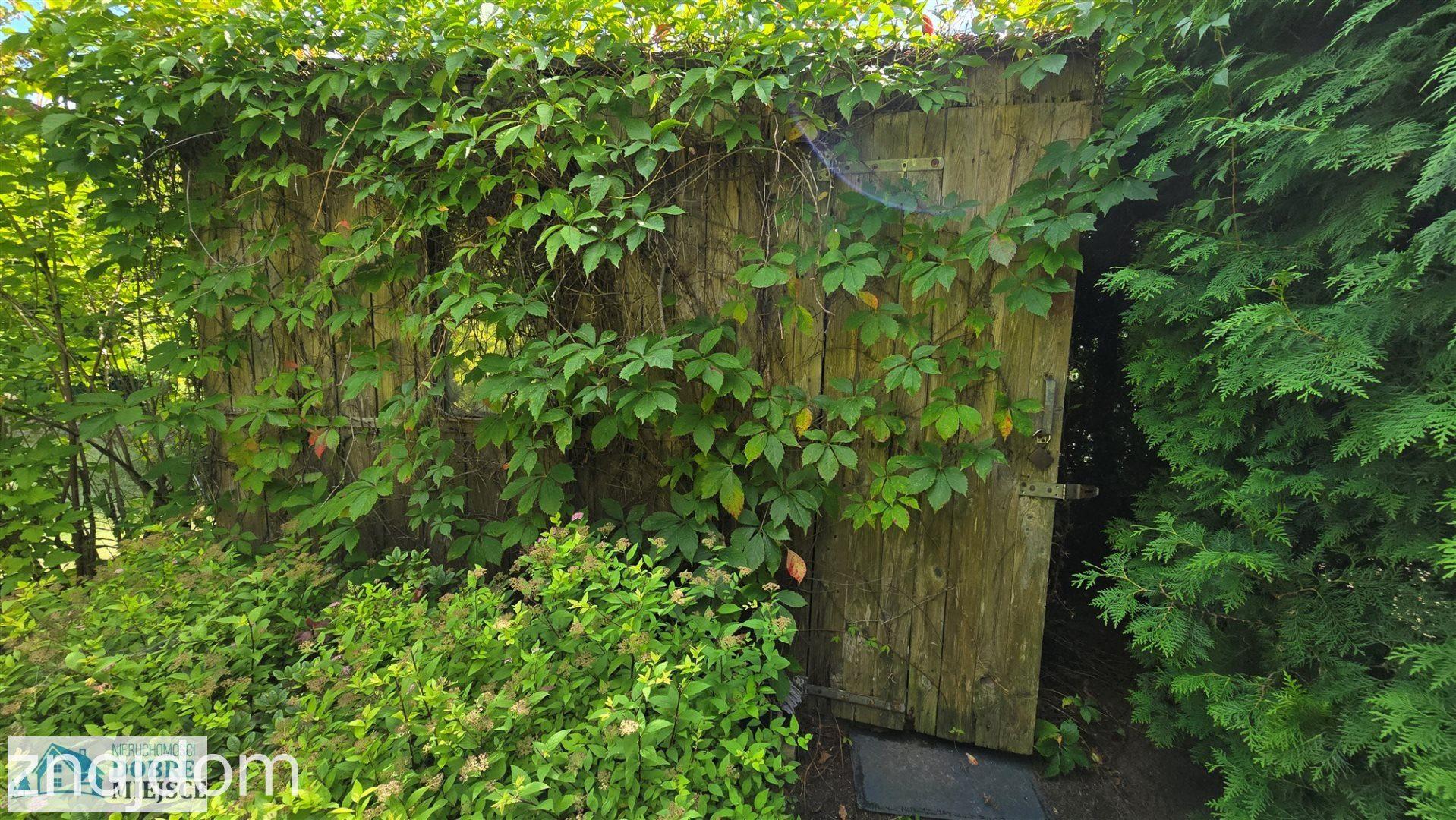 Pięknie zagospodarowana działka ROD Energetyk - zdjęcie 12
