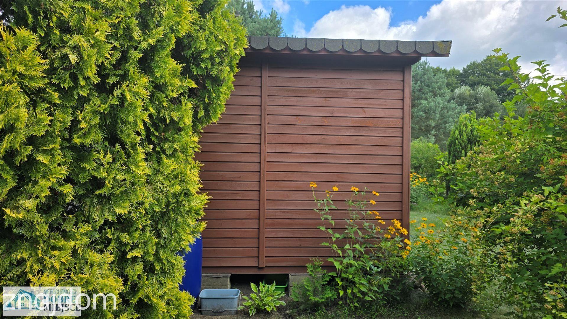 Pięknie zagospodarowana działka ROD Energetyk - zdjęcie 14